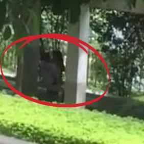 Shocking Footage Shows Chinese Couple have sex on bench under tree on sidewalk (Raw)