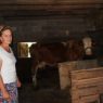 Šokantno: Manijak zatečen kako siluje kravu u štali